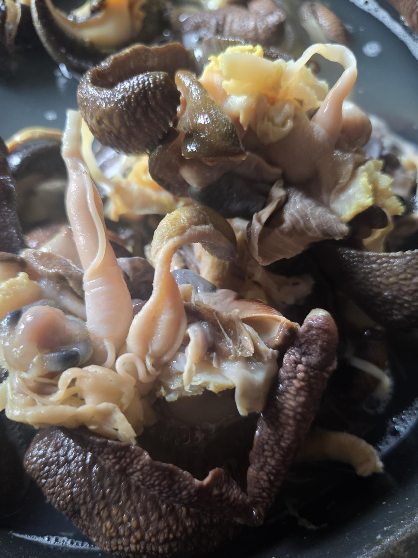 Fresh Jumbo Organic Frozen Escargots/Snail/Igbin 1lb by Niffy